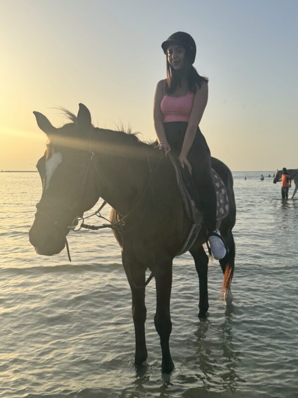 Passeggiata a cavallo